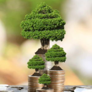 Group logo of TOKENIZACION BONOS VERDES.